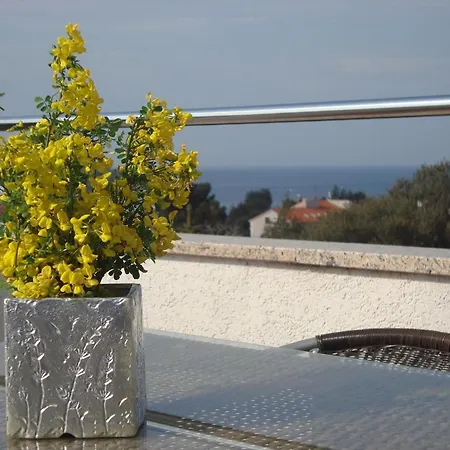 Apartments Villa Holiday بولا