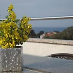 Apartments Villa Holiday 풀라